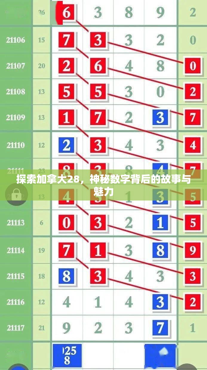 探索加拿大28开奖，魅力与神秘的游戏世界