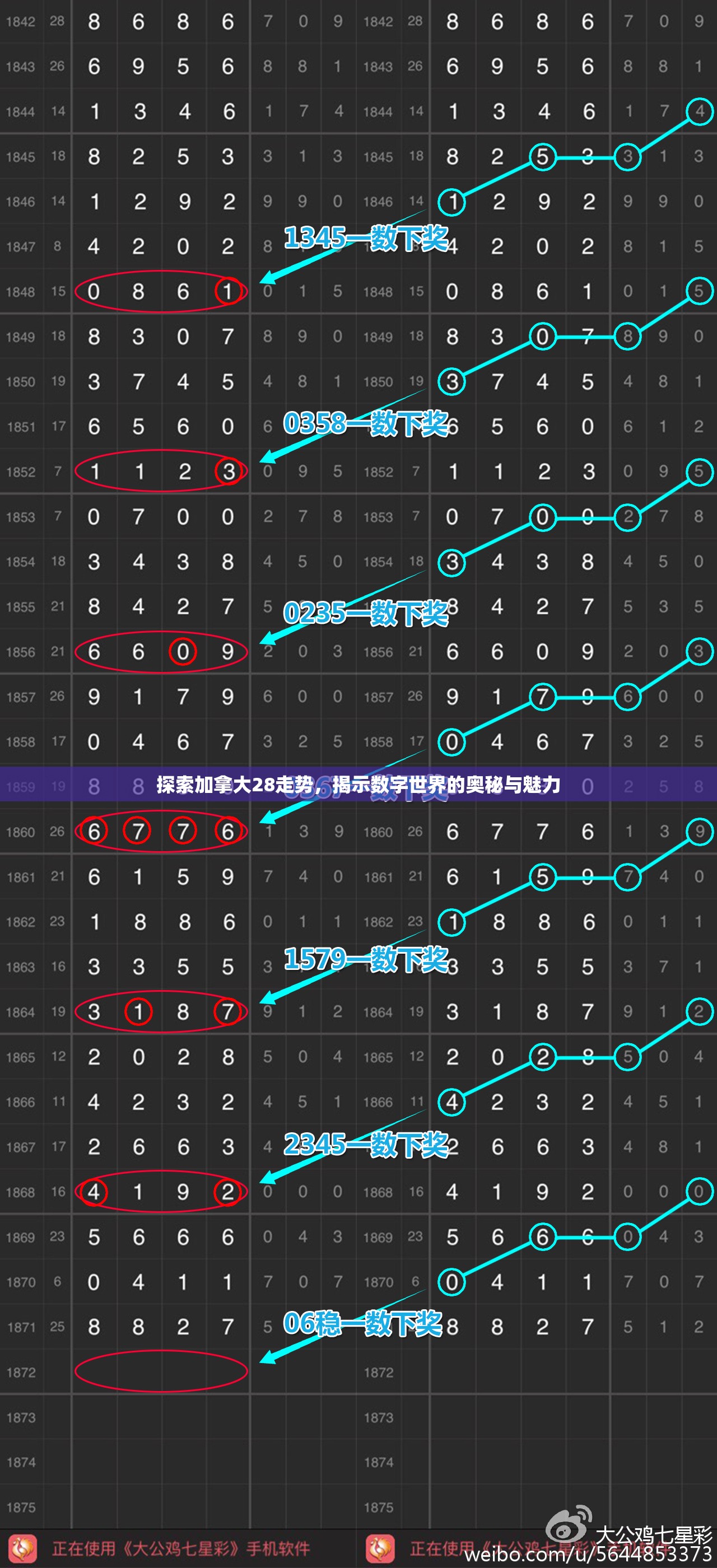 探索加拿大28走势，揭示数字世界的奥秘与魅力