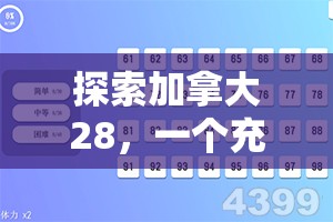 探索加拿大28预测，揭示未来的可能性