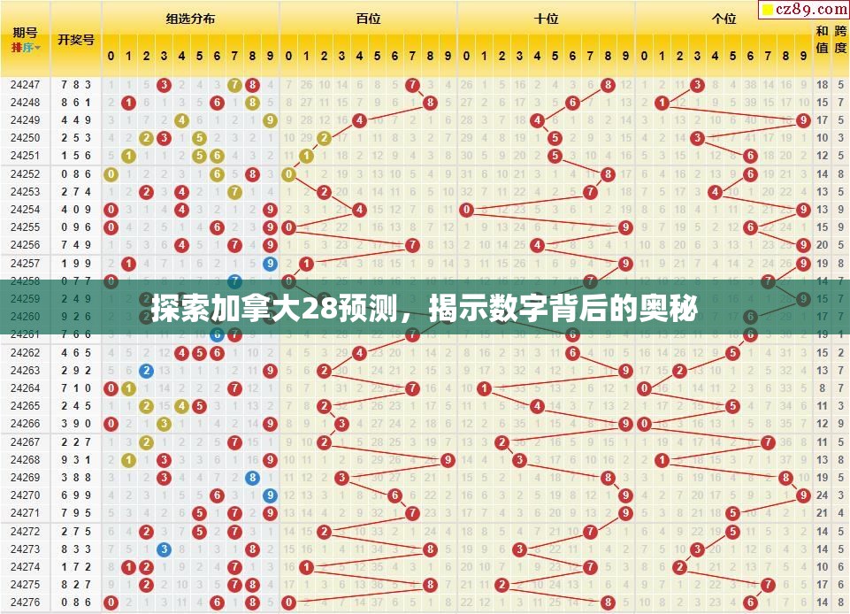 探索加拿大28预测，揭示数字背后的奥秘