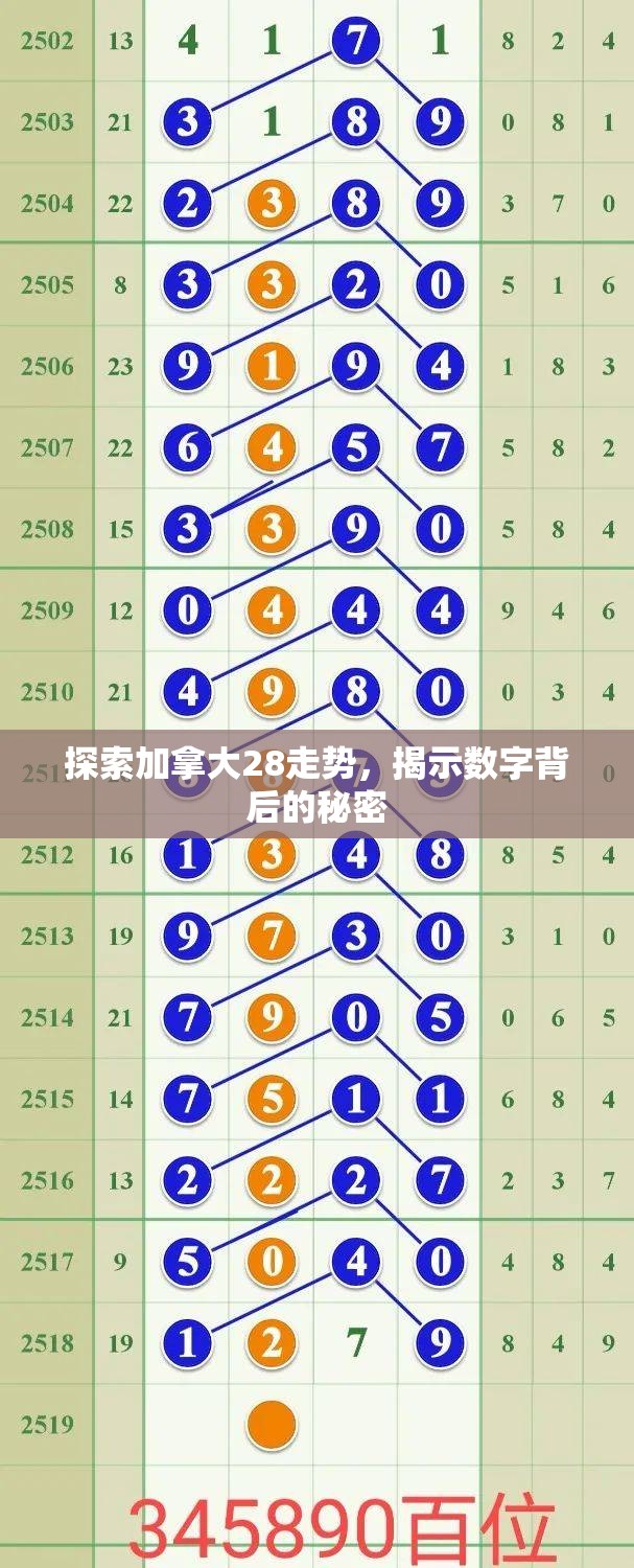 探索加拿大28走势，揭示数字背后的秘密