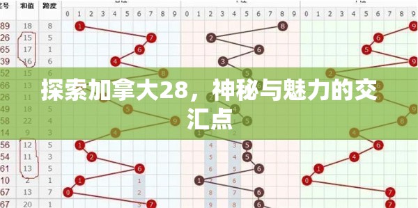 加拿大28开奖，探索数字彩票的魅力与挑战