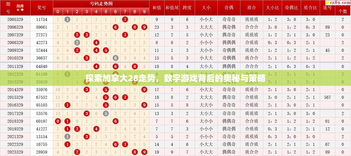 探索加拿大28开奖，魅力与神秘的游戏世界