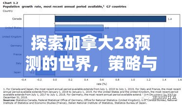 探索加拿大28预测的世界，策略与可能性分析