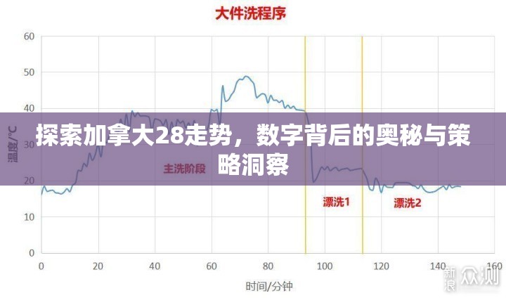 探索加拿大28走势，数字背后的奥秘与策略洞察