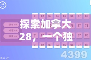 探索加拿大28，一个独特的数字世界