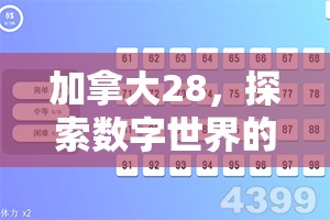 加拿大28，探索数字世界的全新体验