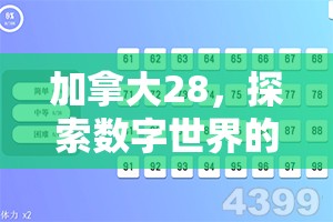 加拿大28，探索数字世界的新乐趣