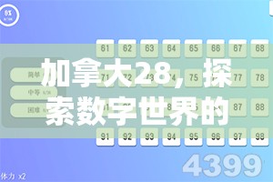 加拿大28，探索数字世界的全新魅力