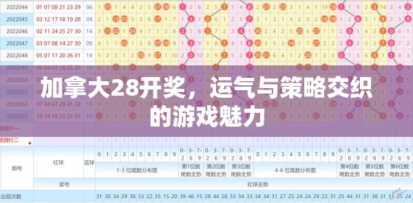 加拿大28开奖，运气与策略交织的游戏魅力