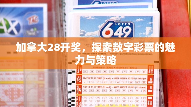 加拿大28开奖，探索数字彩票的魅力与策略