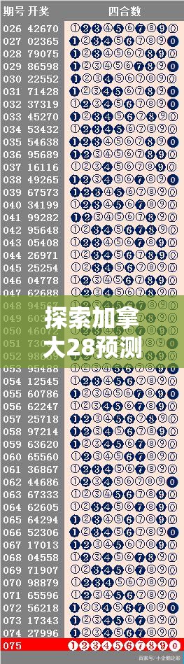 探索加拿大28预测，揭示数字游戏的奥秘与挑战