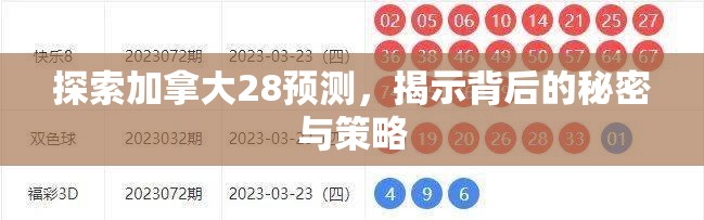 探索加拿大28预测，揭示背后的秘密与策略