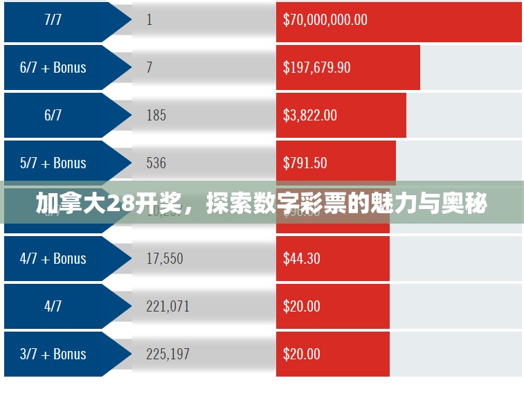 加拿大28开奖，探索数字彩票的魅力与奥秘