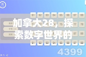 加拿大28，探索数字世界的魅力与机遇