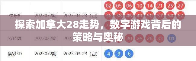 探索加拿大28走势，数字游戏背后的策略与奥秘