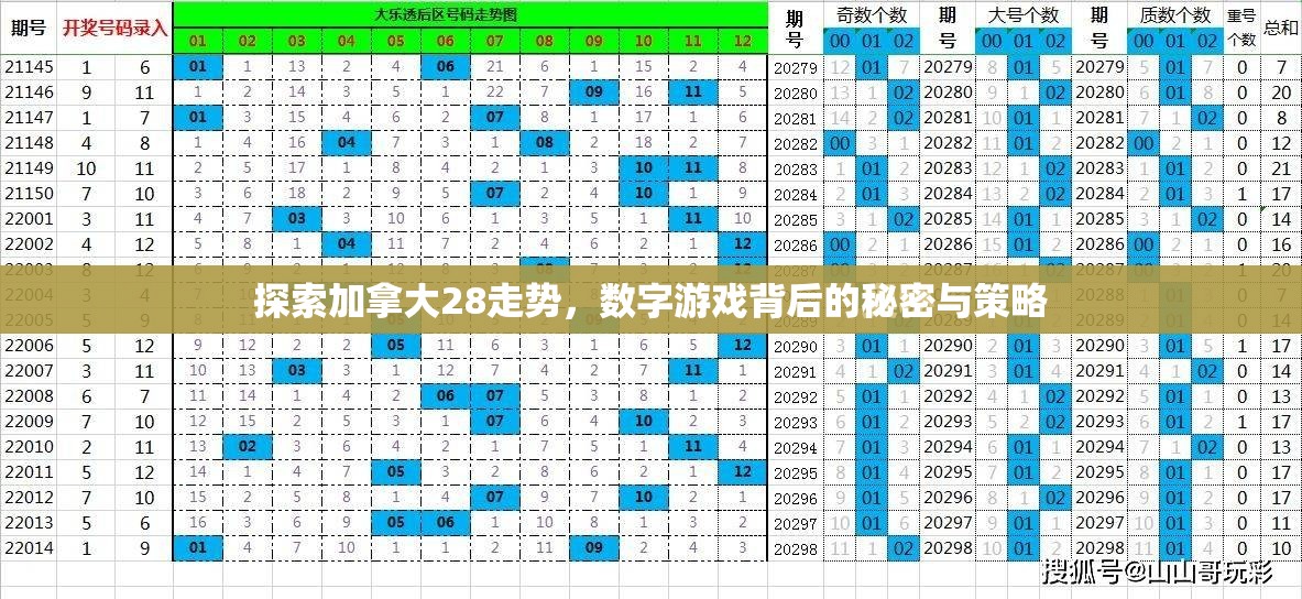 探索加拿大28走势，数字游戏背后的秘密与策略