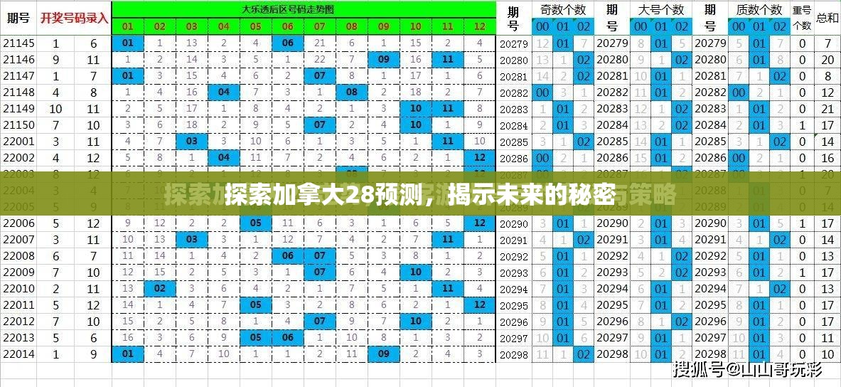 探索加拿大28预测，揭示未来的秘密