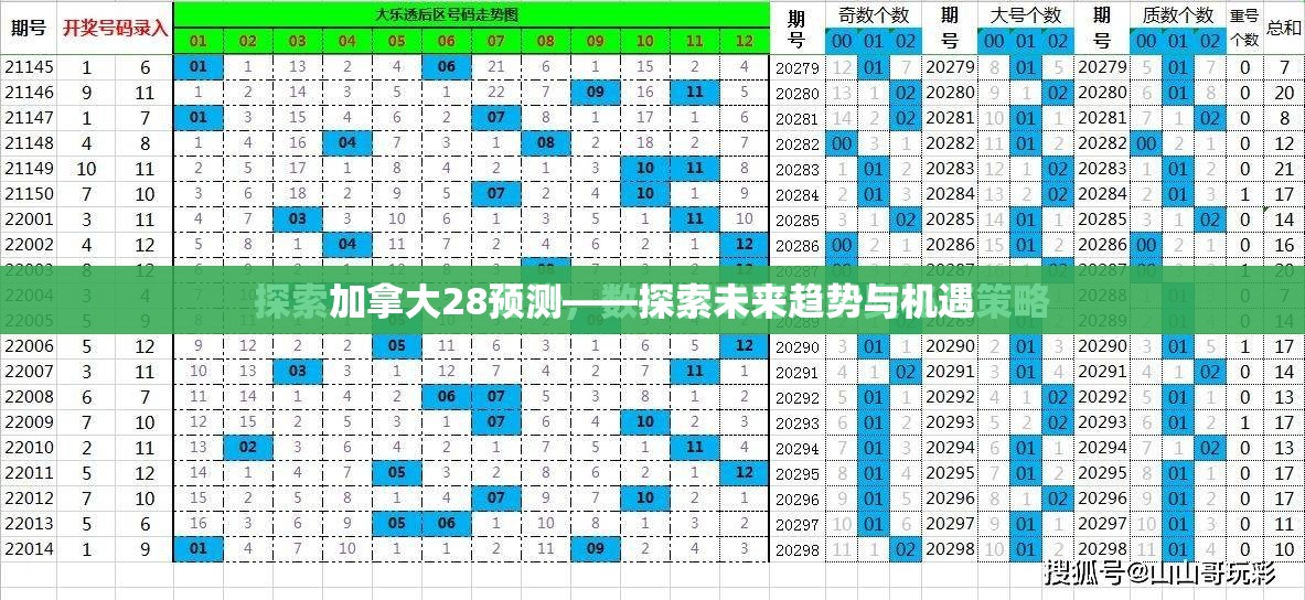 加拿大28预测——探索未来趋势与机遇