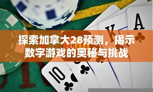 探索加拿大28预测，揭示数字游戏的奥秘与挑战