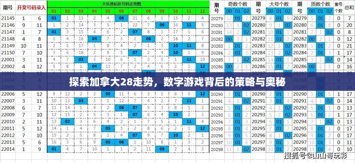 探索加拿大28走势，数字游戏背后的策略与奥秘