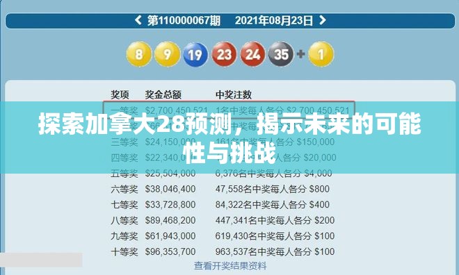 探索加拿大28预测，揭示未来的可能性与挑战