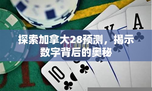 探索加拿大28预测，揭示数字背后的奥秘