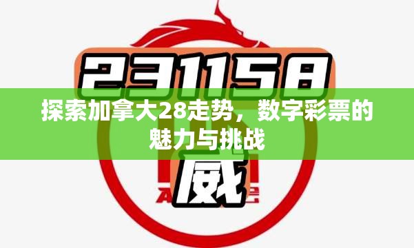 探索加拿大28走势，数字彩票的魅力与挑战