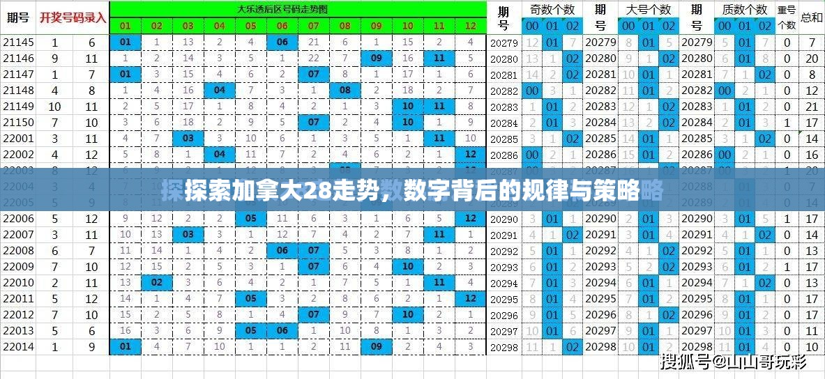 探索加拿大28走势，数字背后的规律与策略