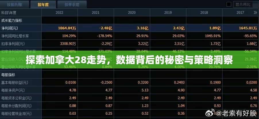 探索加拿大28走势，数据背后的秘密与策略洞察