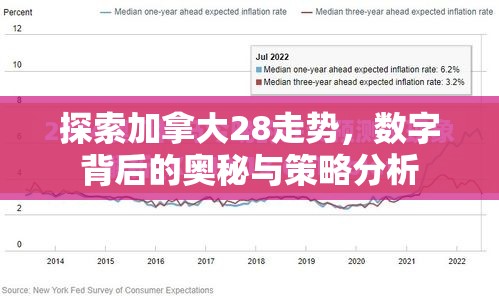 探索加拿大28走势，数字背后的奥秘与策略分析