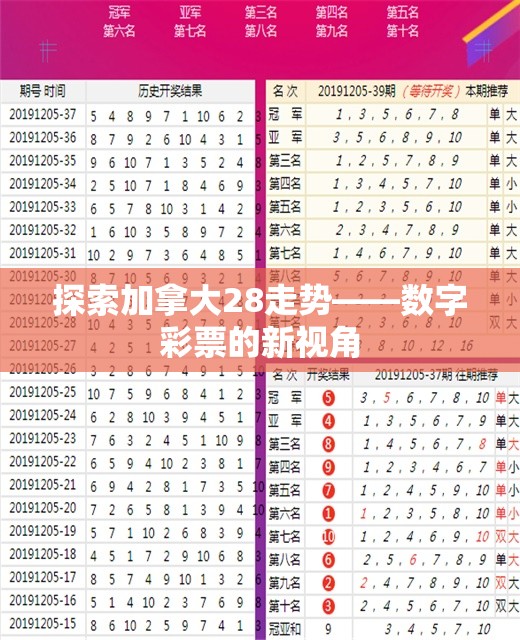 探索加拿大28走势——数字彩票的新视角